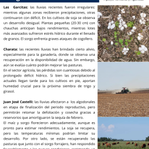 Delegados_01a10ABRIL_2025