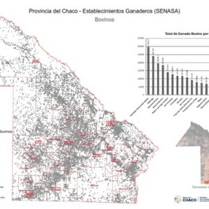 WhatsApp Image 2025-04-22 at 17.34.16