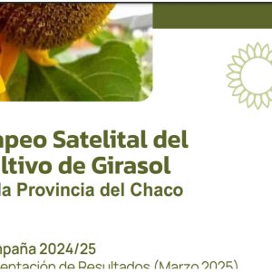 mapeogirasol2025