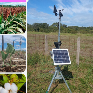 informemensualagrojunio2025