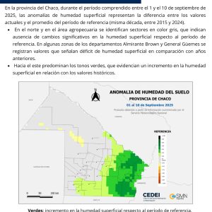 WhatsApp Image 2025-09-15 at 11.29.49