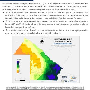 WhatsApp Image 2025-09-15 at 11.29.56