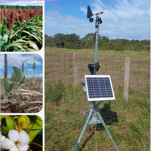 informeagrometeorologicoseptiembre25