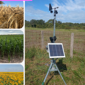 informemensualnoviembre25