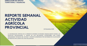 Reporte semanal agricola 24 de Diciembre 2025