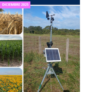 informemensualdiciembre 25