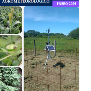 INFORME MENSUAL ENERO_2026