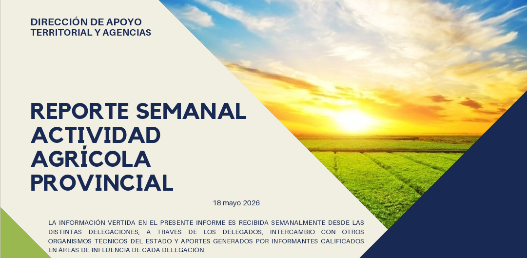 reportesemanal180526