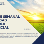 REPORTE SEMANAL ACTIVIDAD AGRÍCOLA PROVINICIAL 03-04-2024