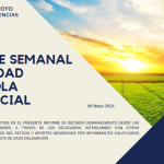 REPORTE SEMANAL ACTIVIDAD AGRÍCOLA PROVINICIAL 06-05-2024