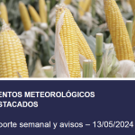 EVENTO METEOROLOGICO- ORA