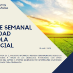 REPORTE SEMANAL ACTIVIDAD AGRÍCOLA PROVINICIAL 18-06-2024