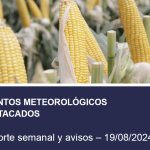 EVENTO METEOROLOGICO- ORA