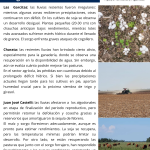 Informe Tecnico 01 al 10 de Abril 2025