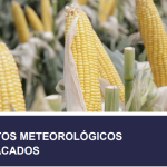 EVENTO METEOROLOGICO- ORA