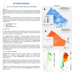 Informe semanal del 20 al 26 de enero del 2025