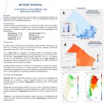 Informe semanal del 27 al 02 de febrero del 2025