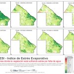 ESI – Indice de Estrés Evaporativo Período: 05/06/2025 a 07/02/2025 al Período: 24/07/2025 a 20/08/2025