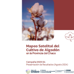 Mapeo Satelital Algodón 2023-2024