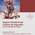Mapeo satelital Algodon 2024-25