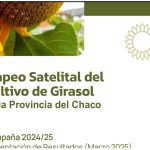 Mapeo Satelital Algodón 2024-2025 Informe pdf