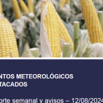 EVENTO METEOROLOGICO- ORA