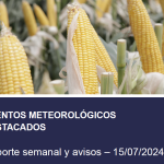 EVENTO METEOROLOGICO- ORA