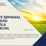 REPORTE SEMANAL ACTIVIDAD AGRÍCOLA PROVINICIAL 11-03-2024