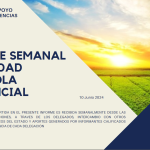 REPORTE SEMANAL ACTIVIDAD AGRÍCOLA PROVINICIAL 10-06-2024