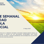 REPORTE SEMANAL ACTIVIDAD AGRÍCOLA PROVINICIAL 27-05-2024