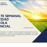Reporte Semanal – Activ. Agricola Provincial 23/09/2024