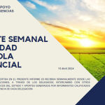 REPORTE SEMANAL ACTIVIDAD AGRÍCOLA PROVINICIAL 15-04-2024