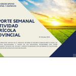 Reporte semanal actividad agricola provincial 07-10-2024