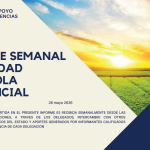 Reporte semanal agricola 26 de Mayo 2026