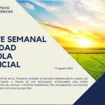Reporte semanal agricola 12 Agosto 2025
